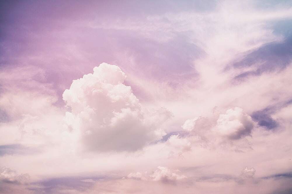 rodion-kutsaev-8P-uQaTd8rw-unsplash.jpeg