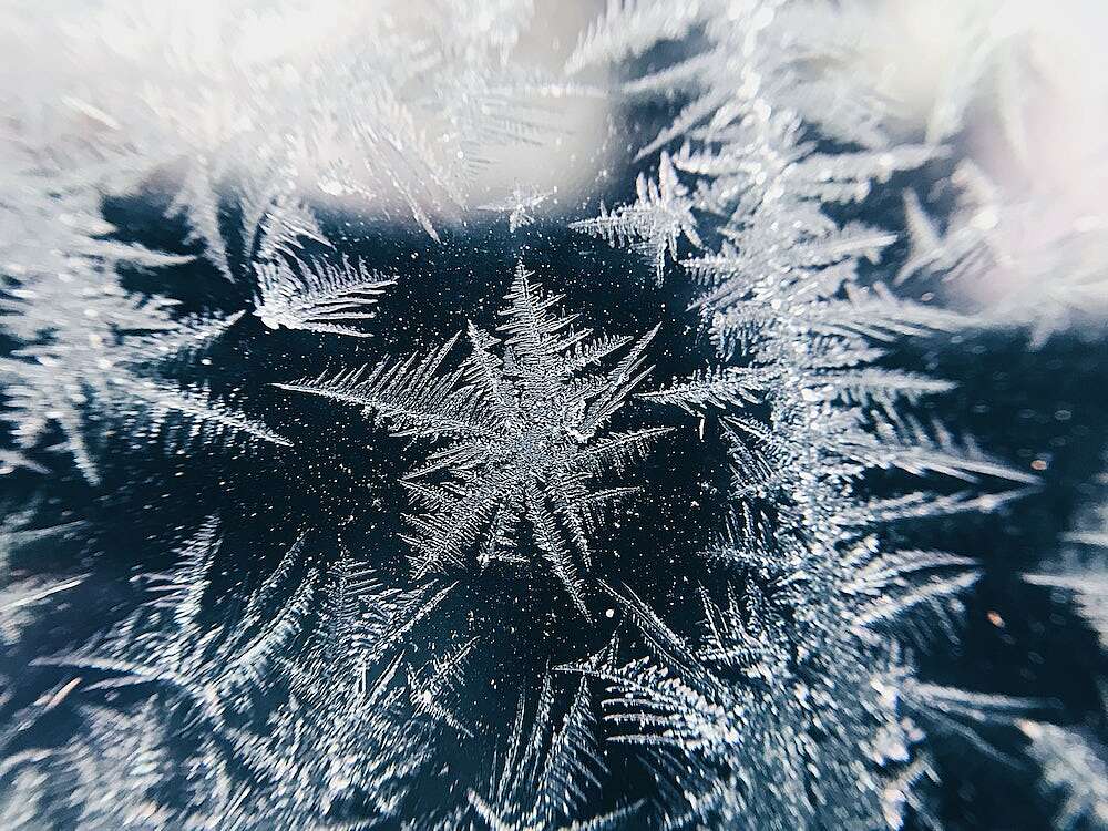 darius-cotoi-nYYsLfGaf7w-unsplash.jpeg