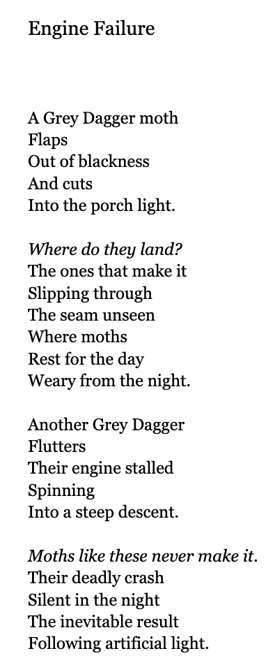 Screenshot 2024-12-04 at 9.12.33 PM.png