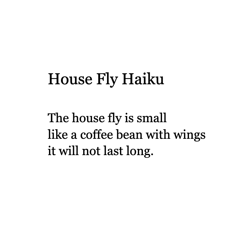 Screenshot 2025-07-27 at 9.32.12 PM.png