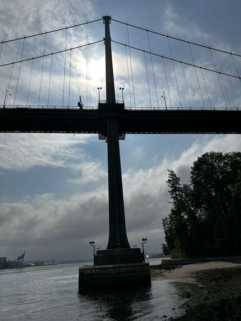 9F744E8D-59AB-4726-8F55-ADD06F0239BF_1_105_c.jpeg