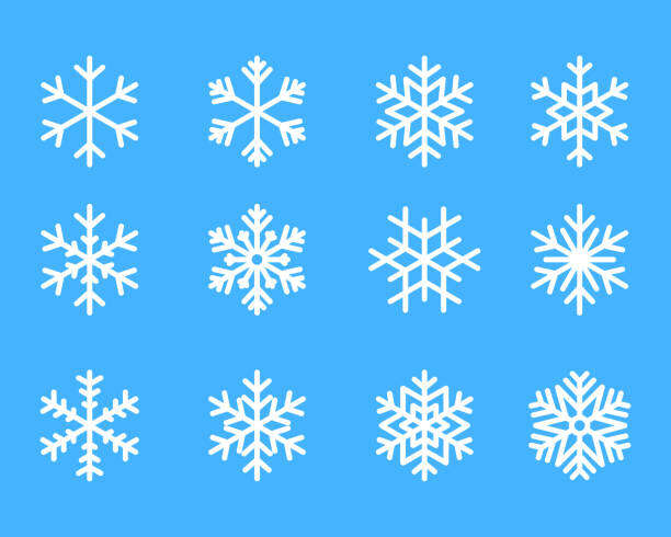 Snowflake 1063039830.jpg
