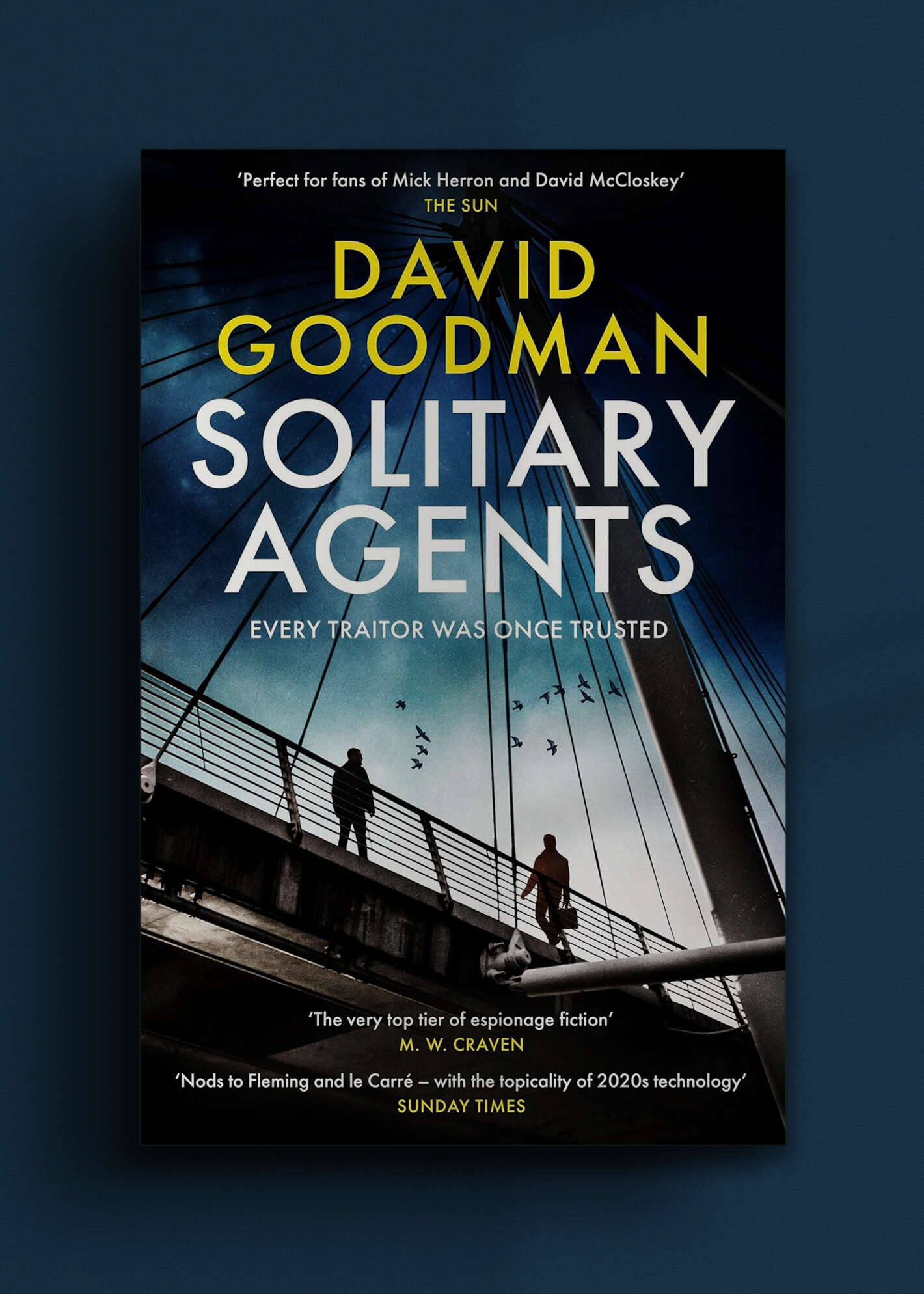 JA_AD_Solitary_Agents_Goodman_Portrait.jpg