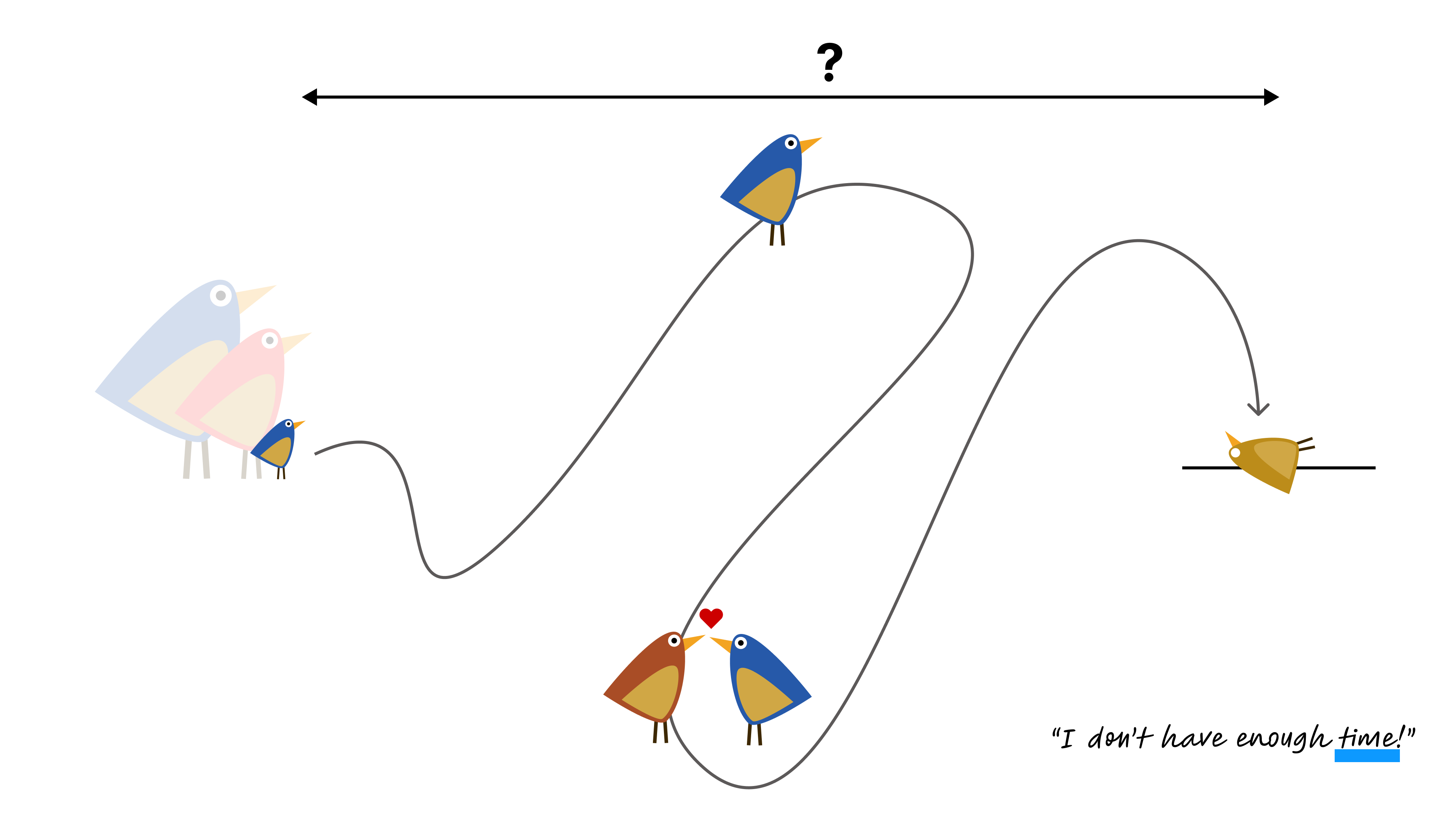 Time Journey.png