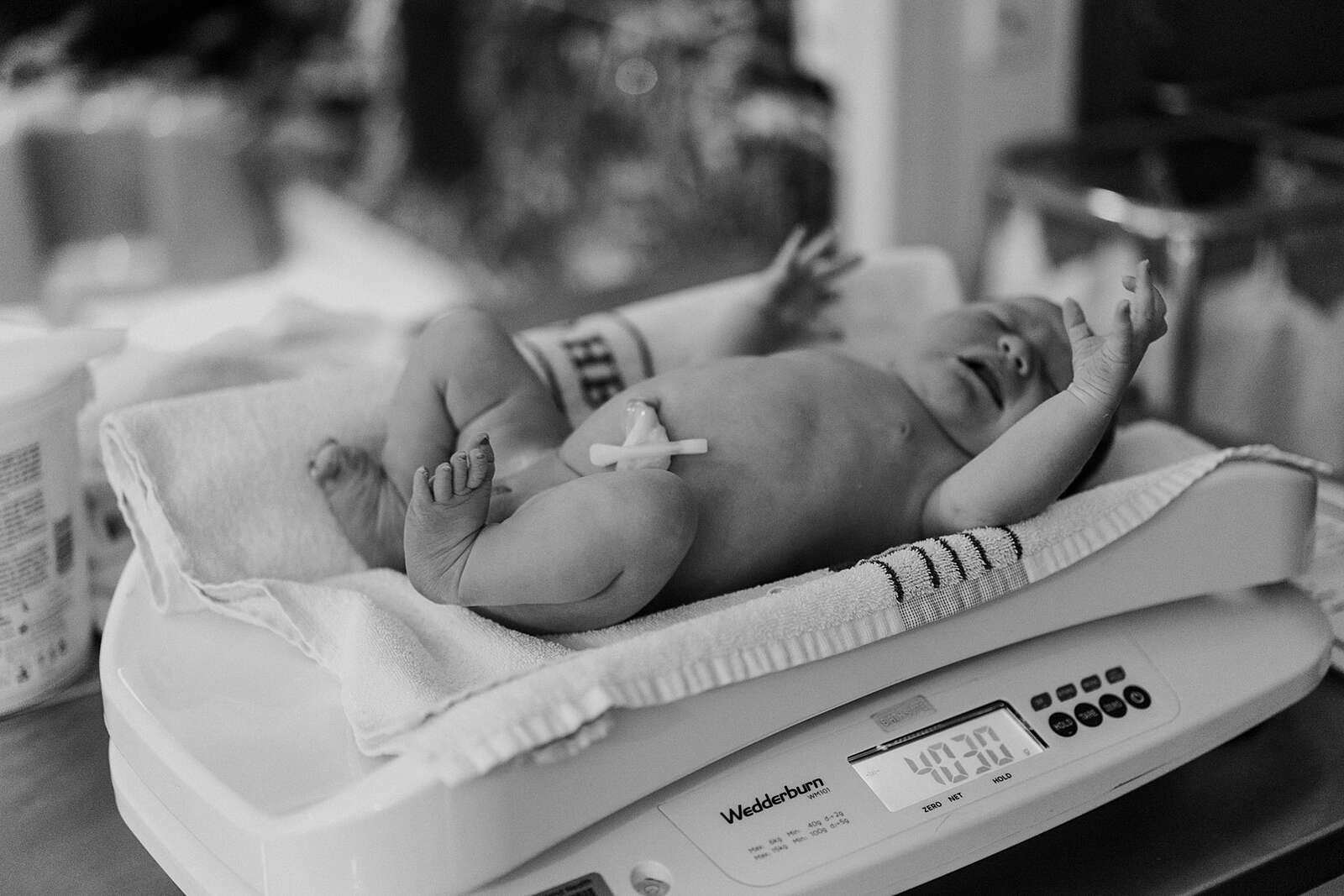 Birth of Goldei ~ Bec Zacher Gold Coast Photographer-96.jpg