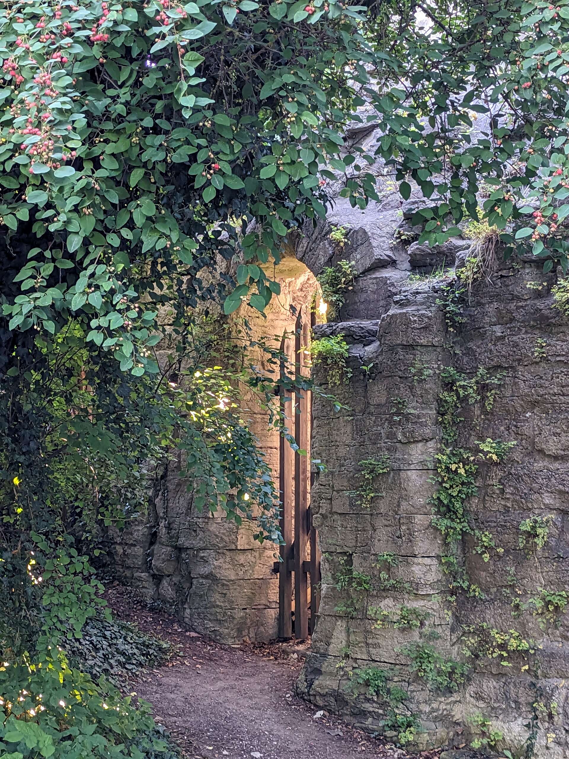 Gate.jpeg