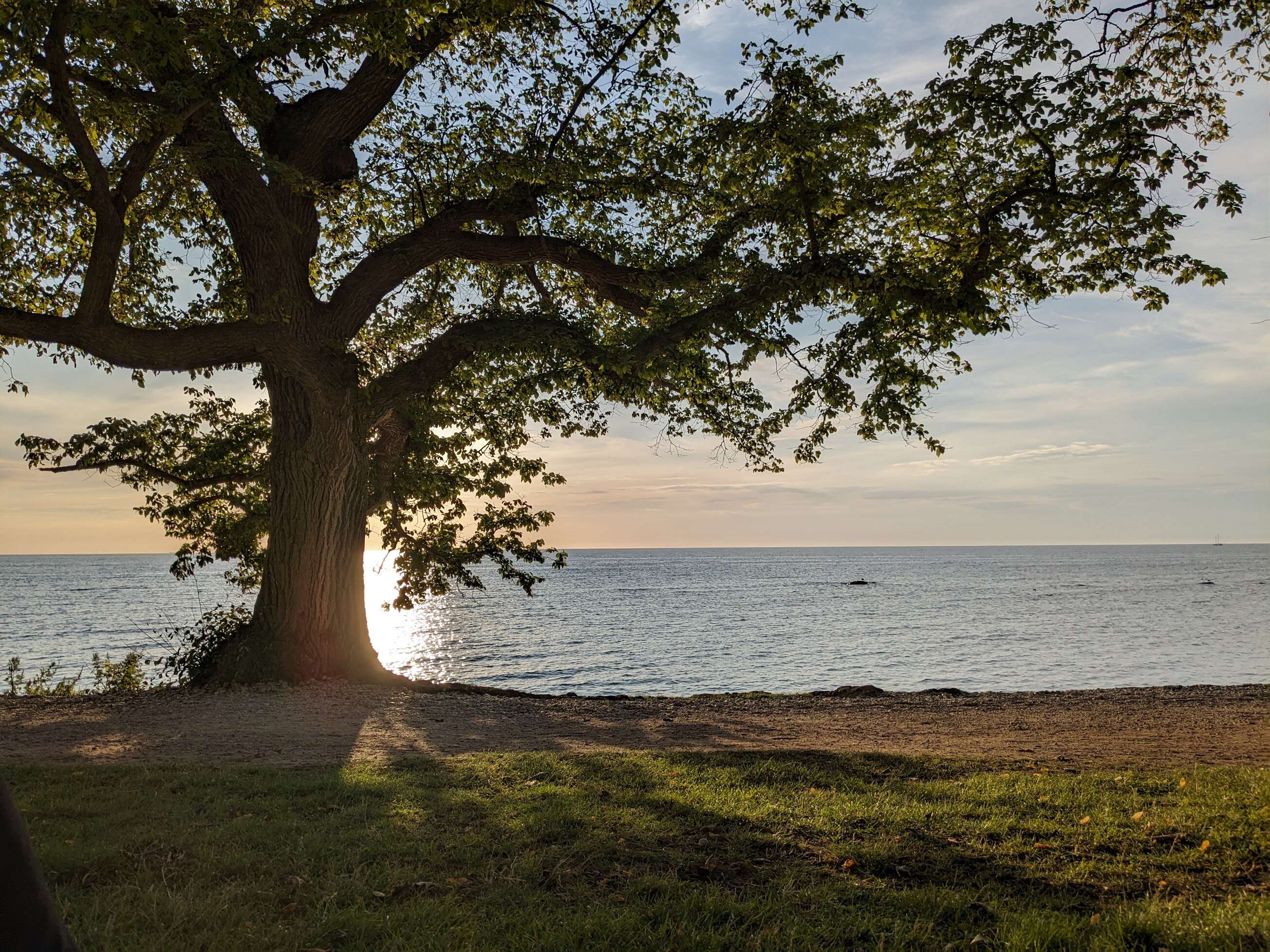 GotlandCoast.jpeg