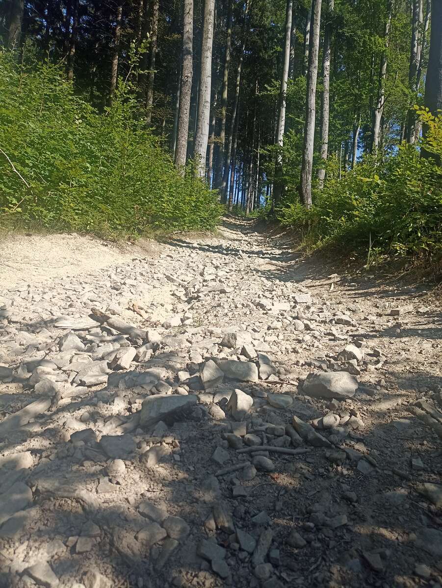 IMG_20240812_160938.jpg