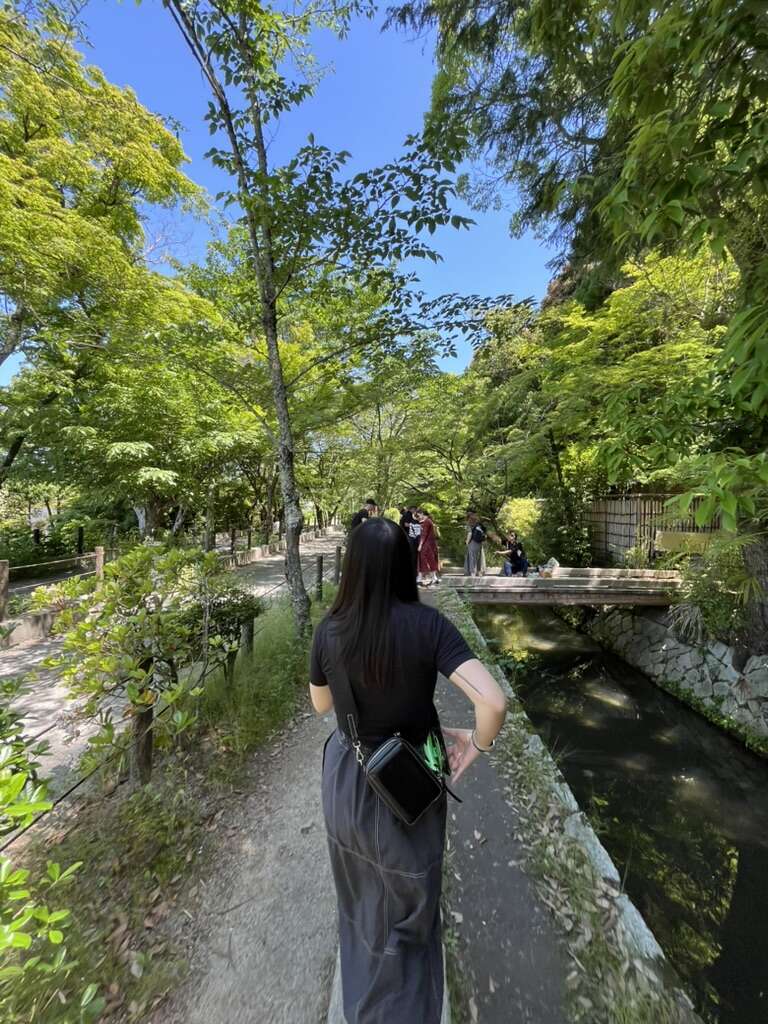 66505A40-4FC2-400F-AACE-EE90B083589A_1_105_c.jpeg