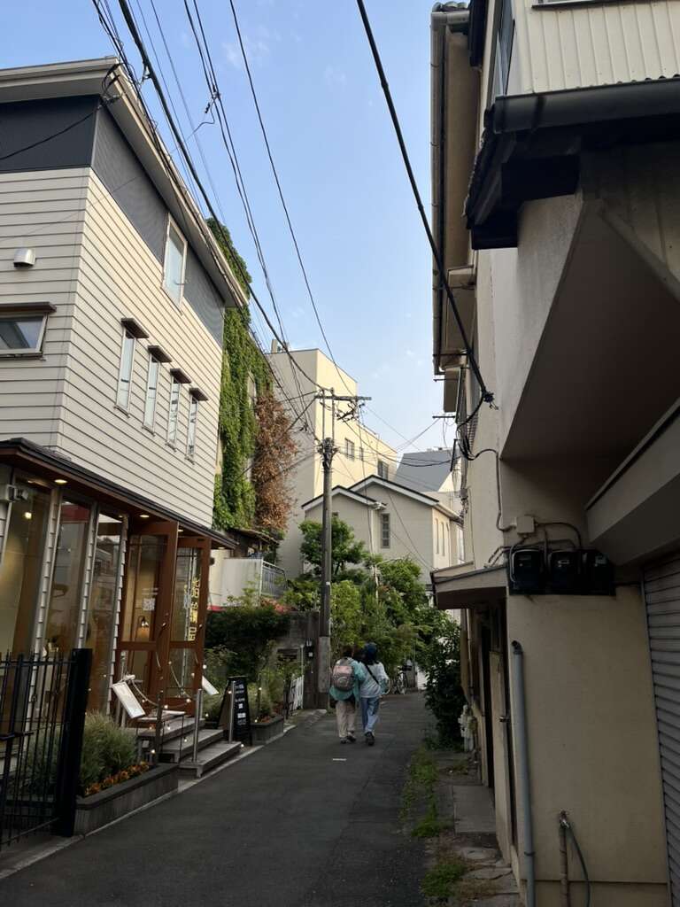 239BB839-F432-4980-974E-4CA0AEF67B61_1_105_c.jpeg