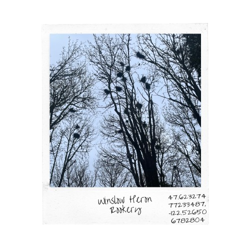 Winslow Heron Rookery.png