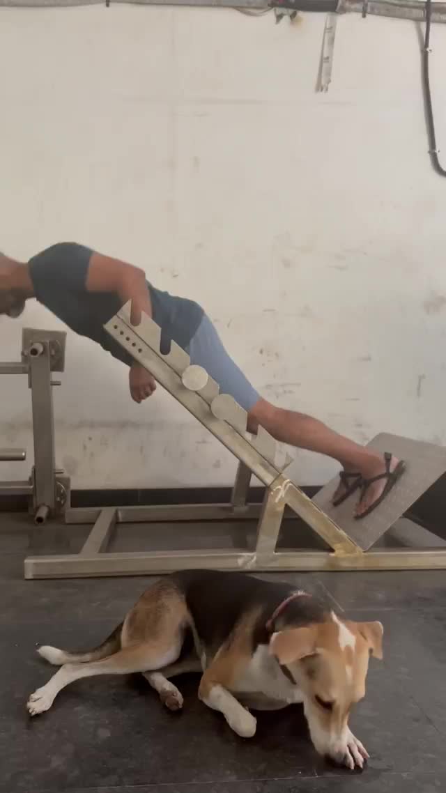video-5.mp4