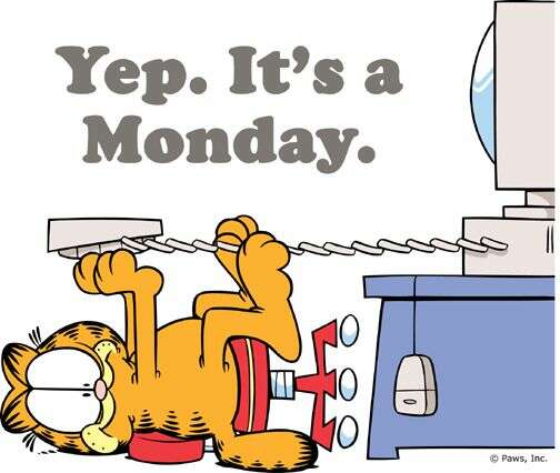 Garfield Says, -I Hate Mondays_-.jpg