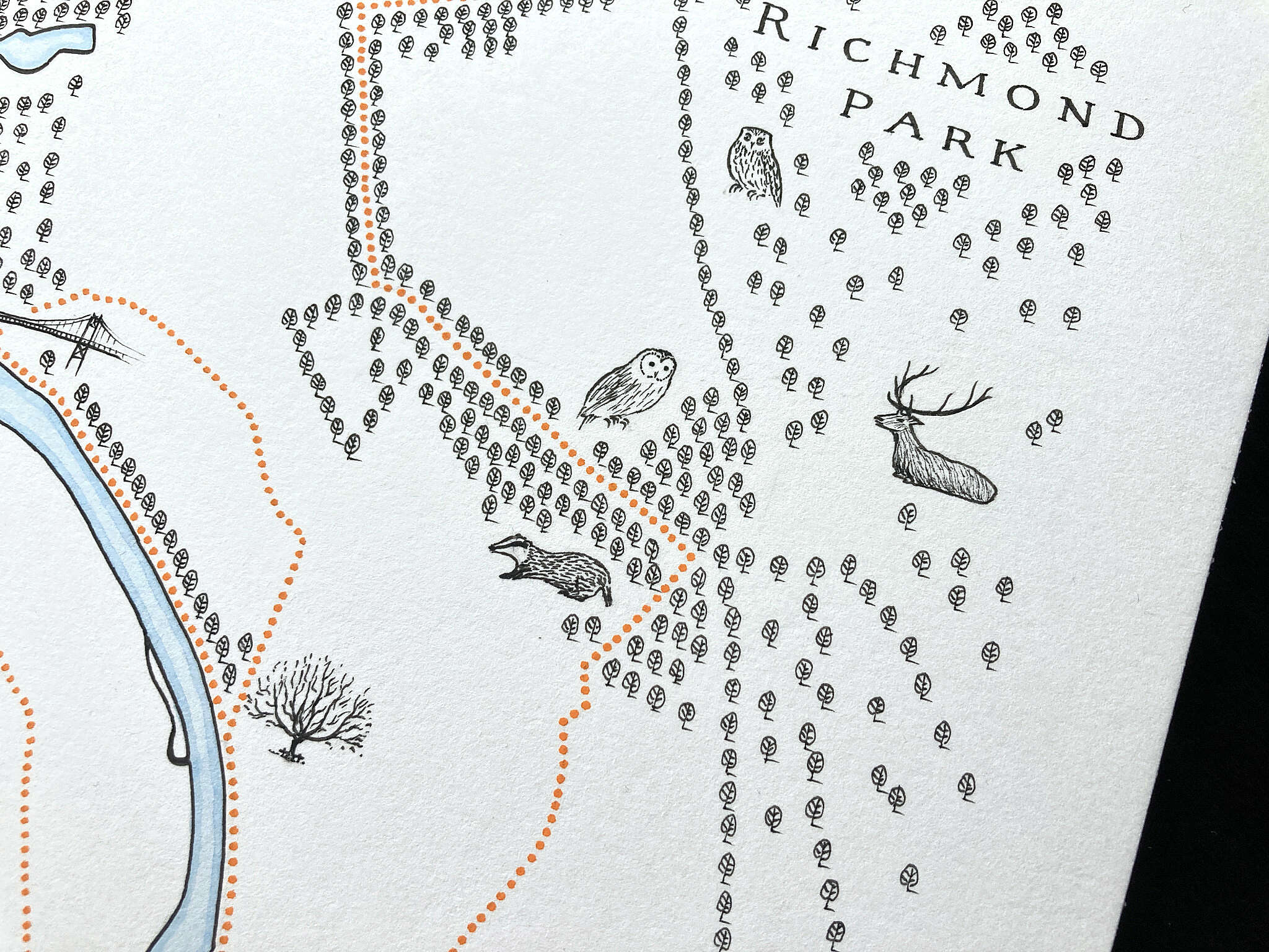 commission -Kingston, Richmond, Bushy and the River -Ben -zoom 4.jpg