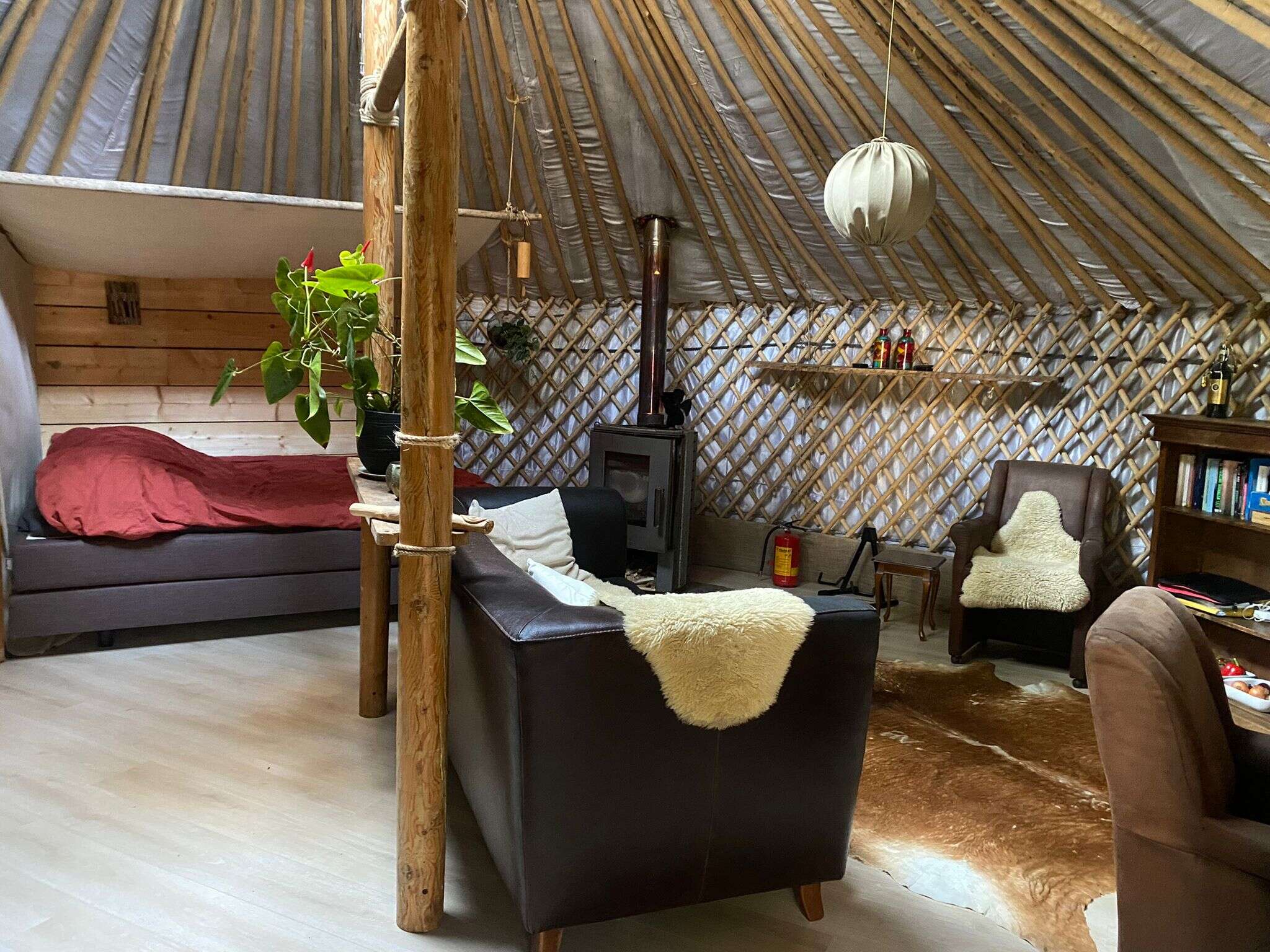 dc7000d1-7adc-46eb-aab4-12a924559c0a 2.JPG