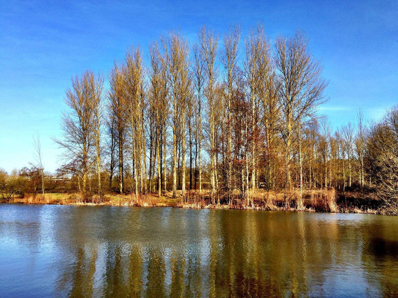 Milton-keynes-lake.jpg