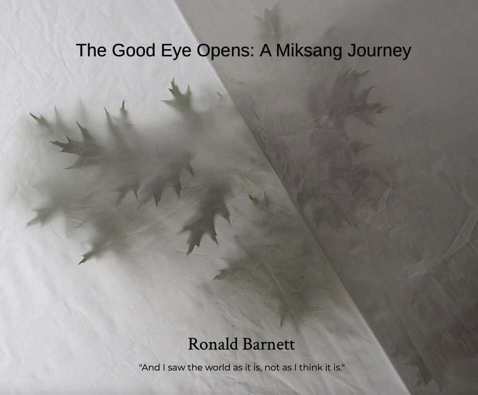 Back Cover.jpg