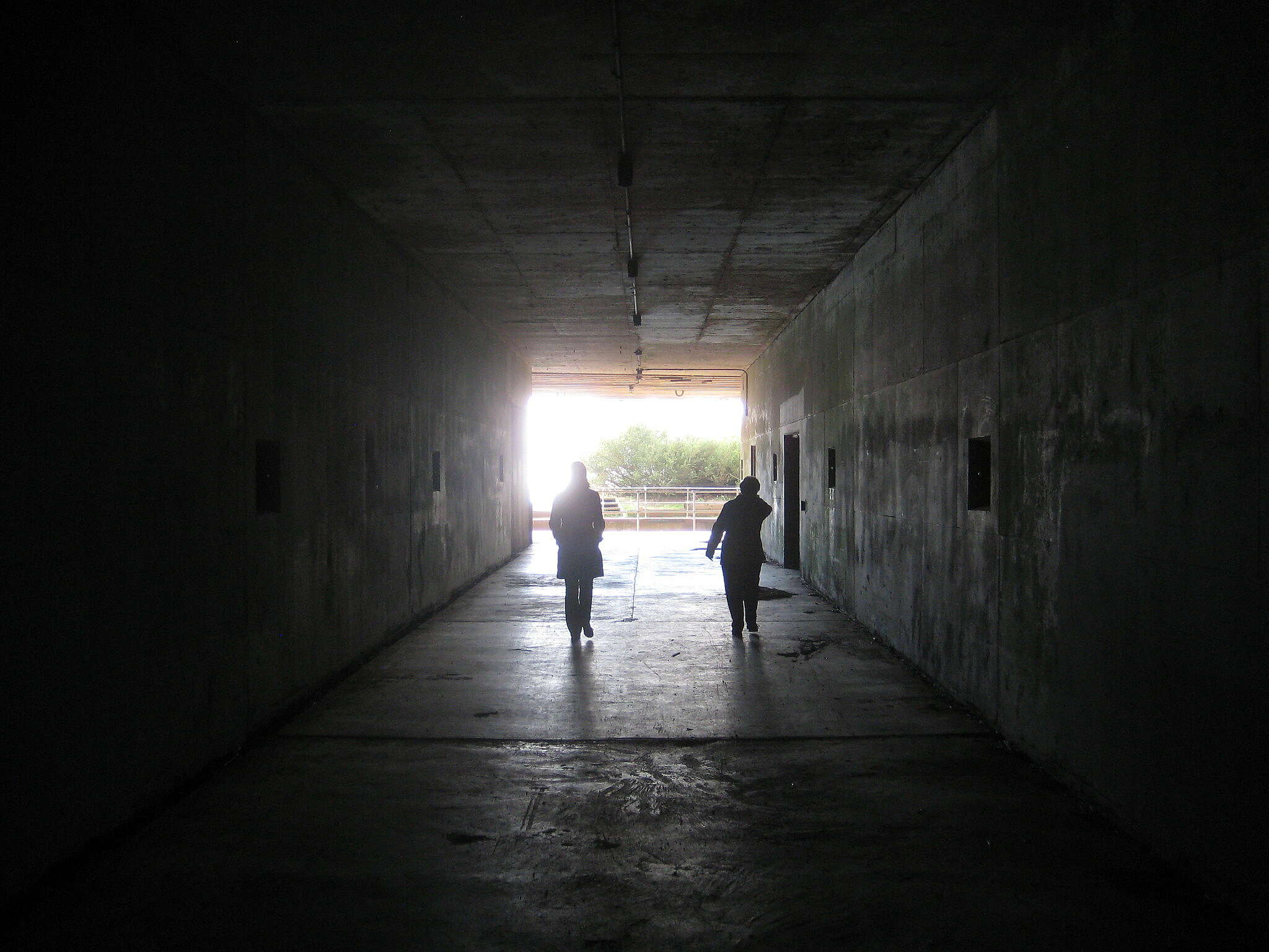 5218550723_df84809200_k 2.jpg