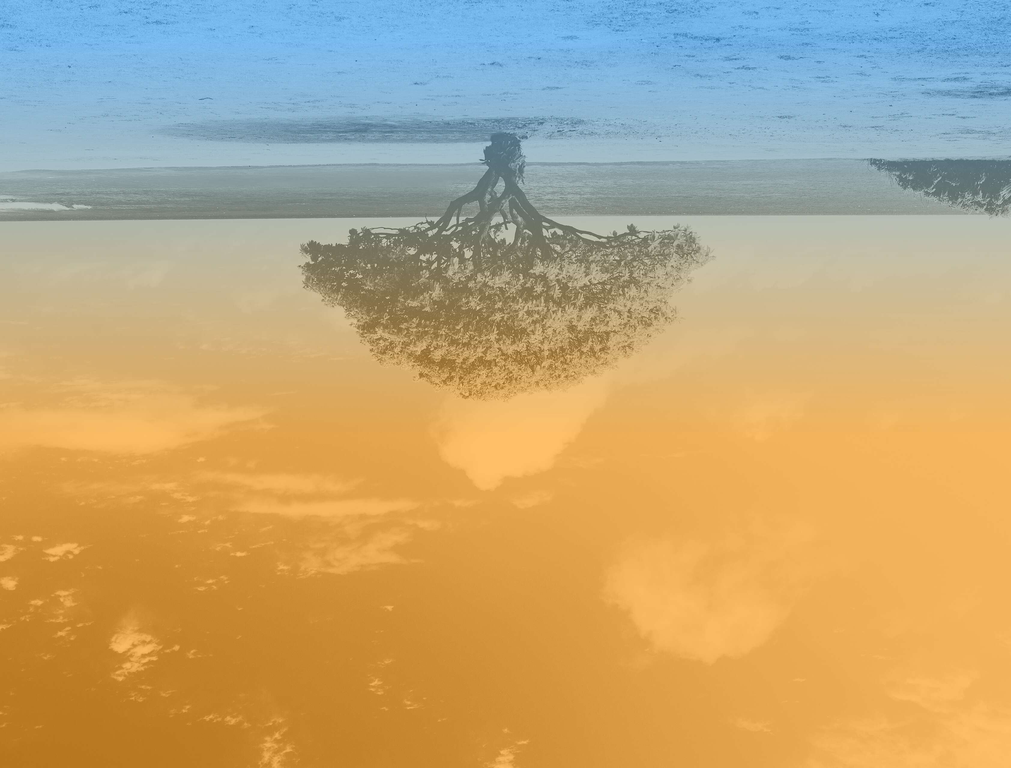 F2654822-8523-47C3-879A-3362D0F111AF.jpeg