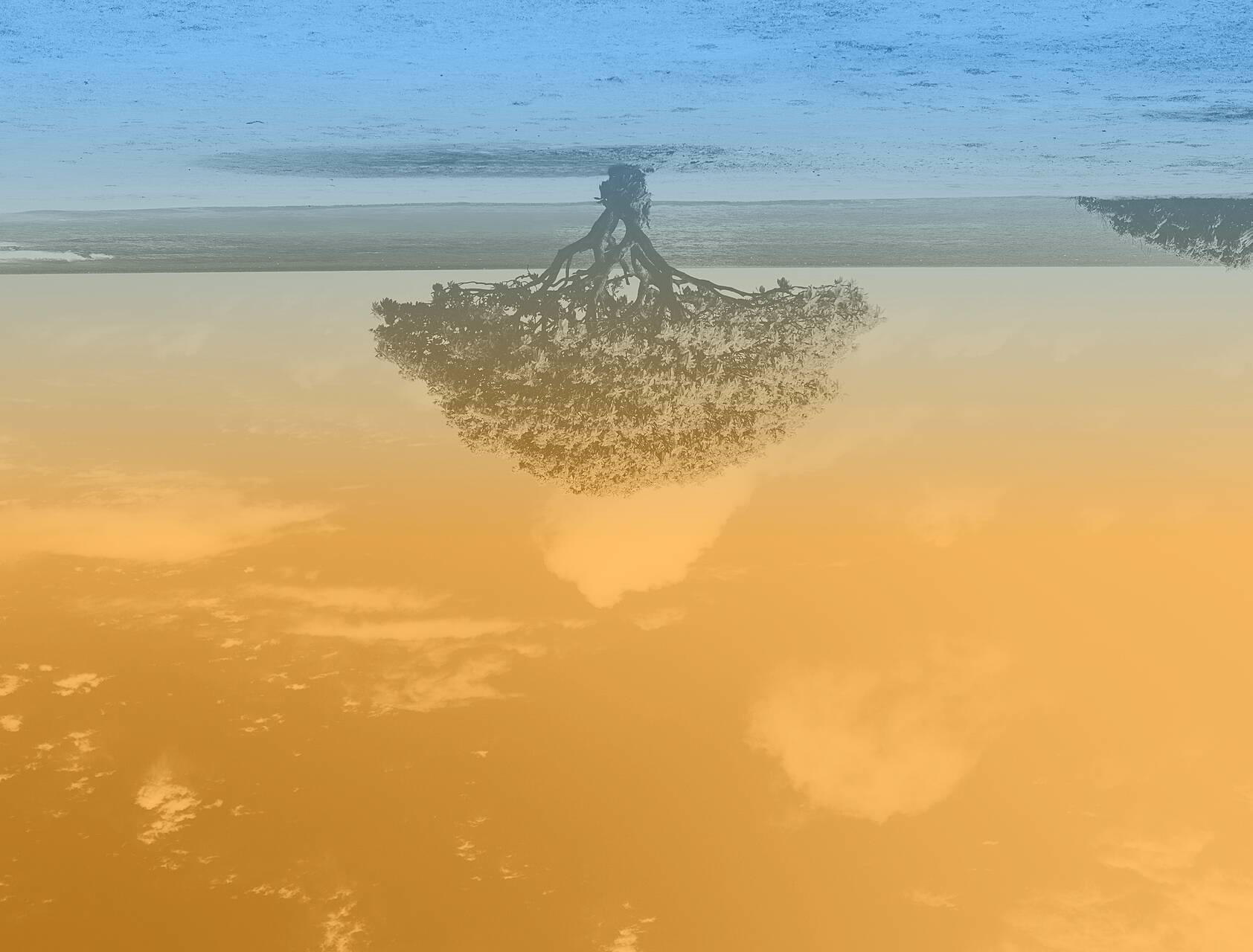 F2654822-8523-47C3-879A-3362D0F111AF.jpeg
