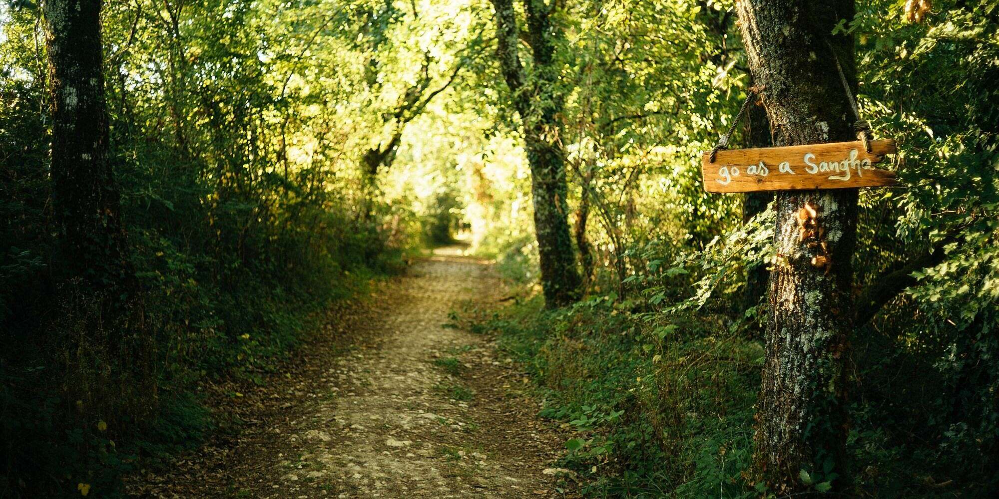 go-as-a-sangha (2000 × 1000px).jpg