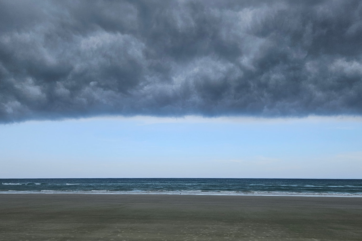 new smyrna beach.png