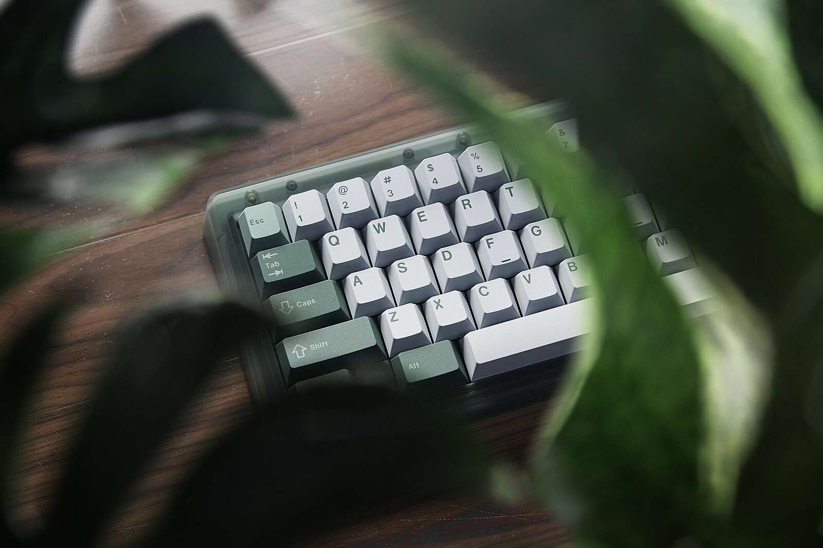 gmk_botanical_2_keyboard_bauer_lite_01_2048x2048.jpeg