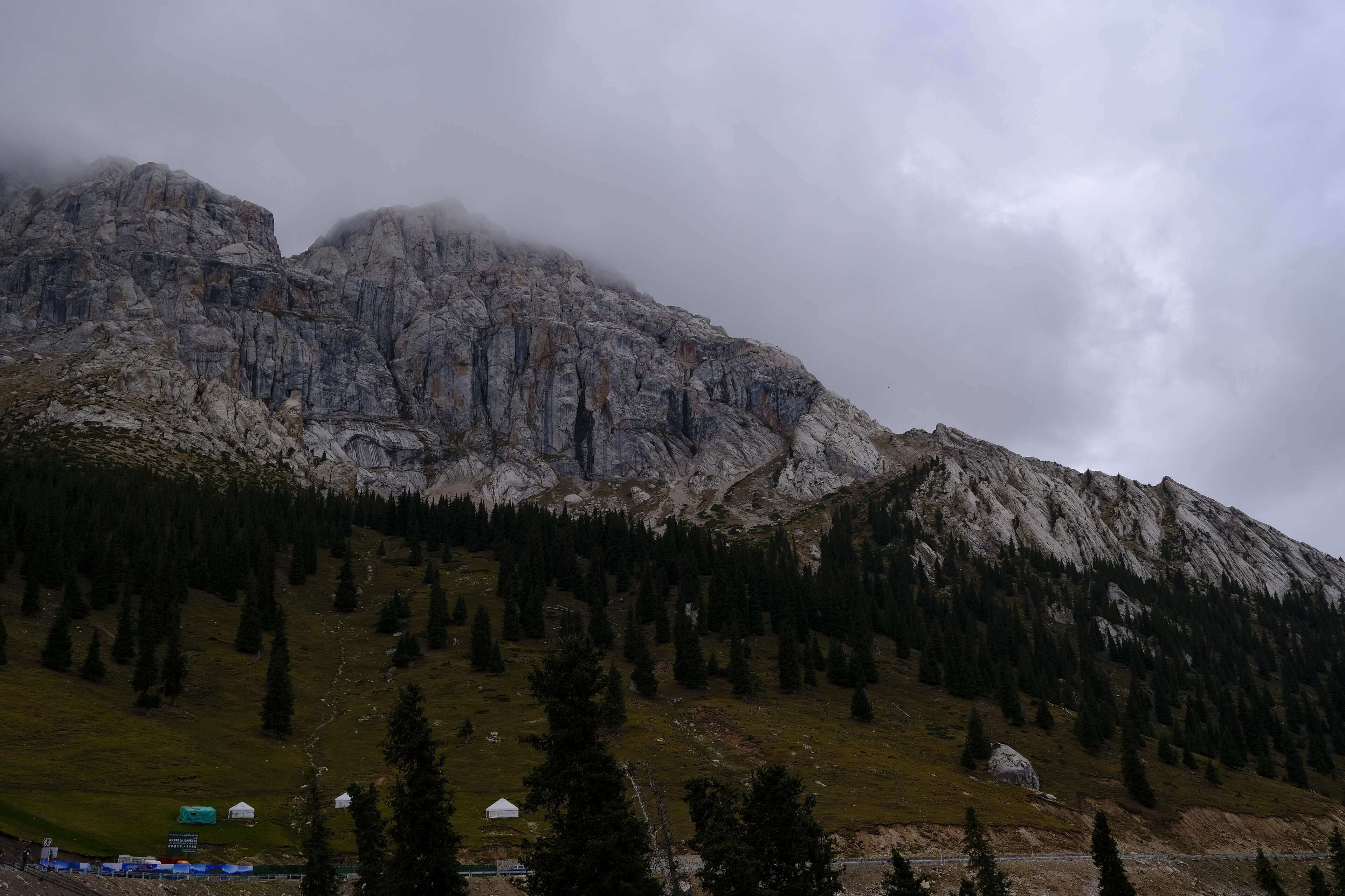 _DSF5438.jpg