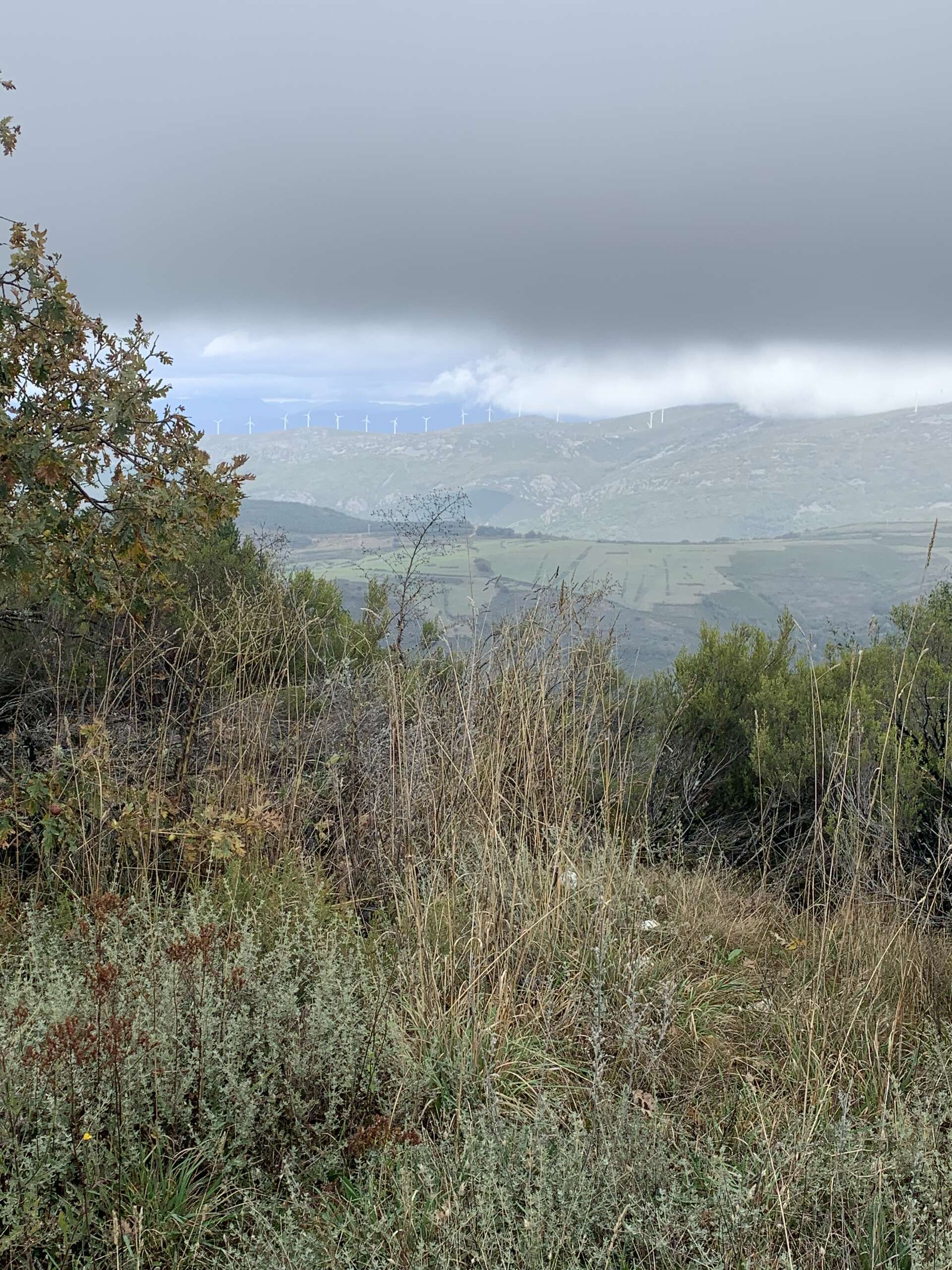 IMG_3688.jpg