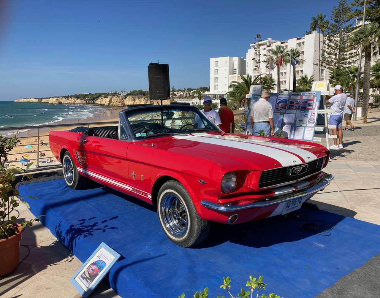 Ford Mustang.jpeg
