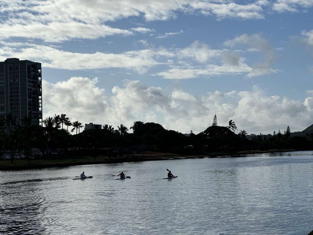 2435DF01-66ED-4195-903F-A15333C928CE_1_105_c.jpeg