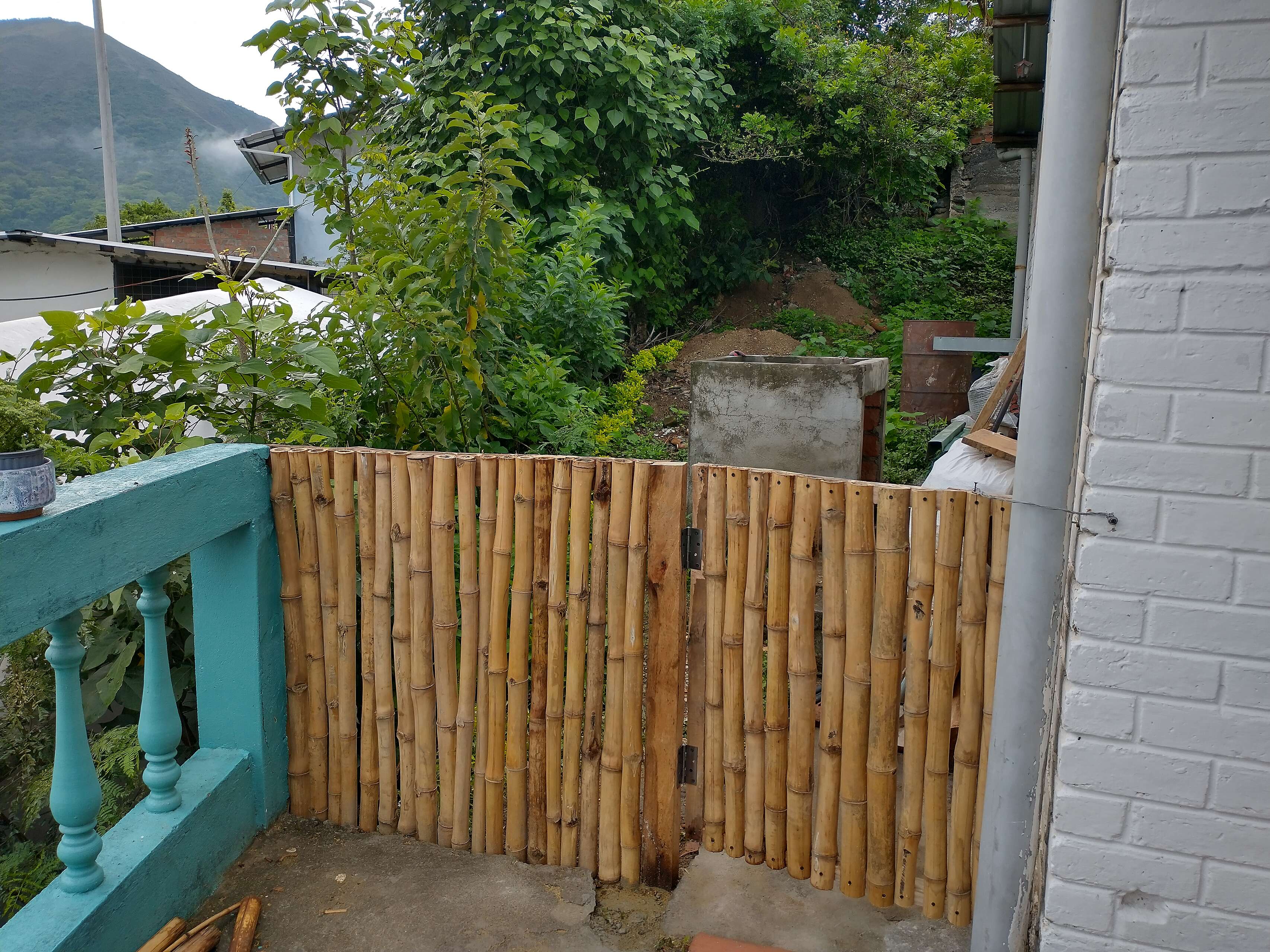 IMG_20211117_072324110_HDR.jpg
