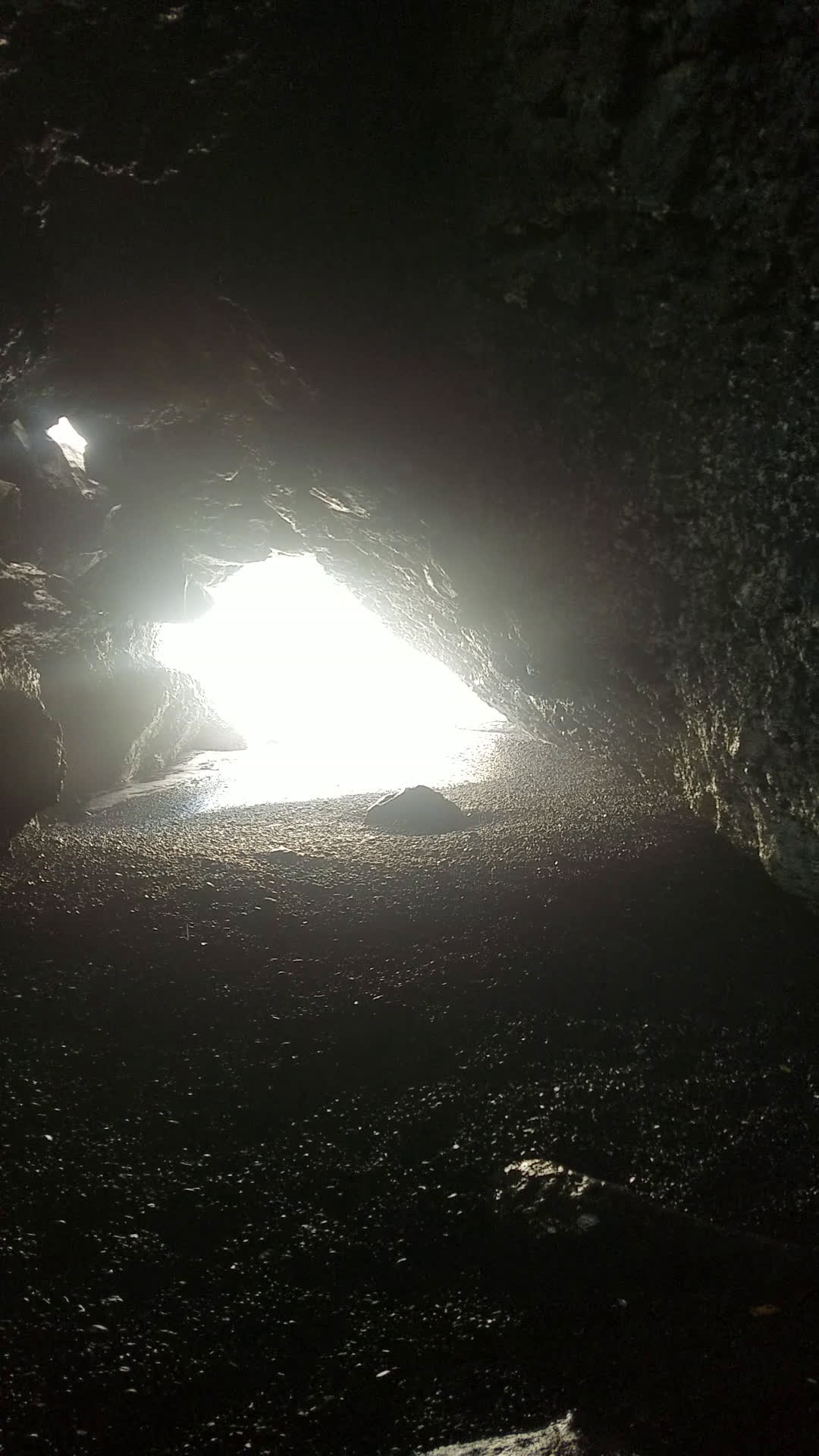20210310_170254.mp4
